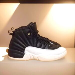 Nike Air Jordan Retro 12 Shoes